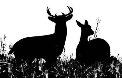 Deer-hunting-clip-art-clipart